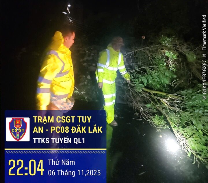 Traffic police and Dak Lak Provincial Police were present at the scene to handle the incident of fallen trees due to the impact of storm No. 13. Photo: Provided by the police