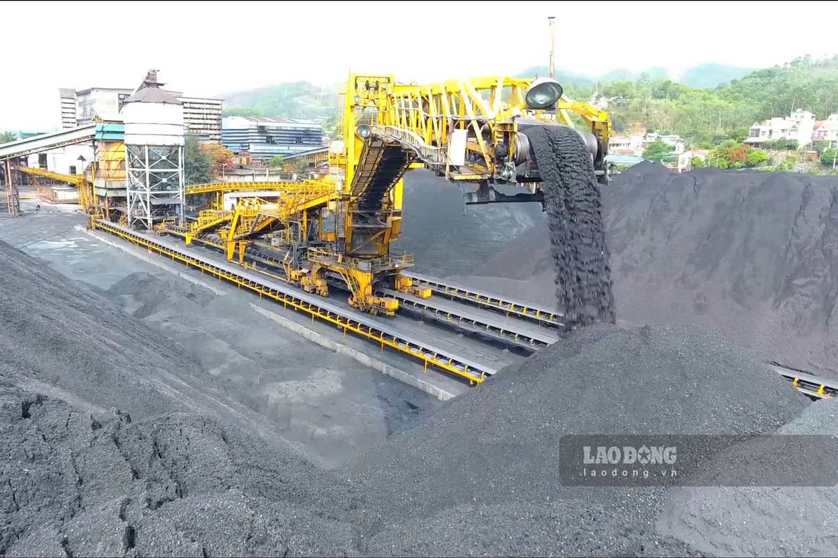 Mot phan day chuyen tu dong hoa tuyen than. Anh: Ngoc Nhung