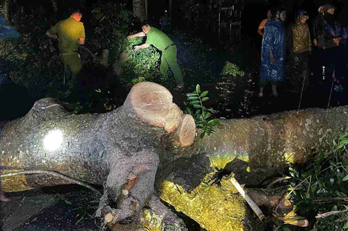 ダクラク省の当局は嵐の影響を克服するために徹夜をした。写真：警察提供