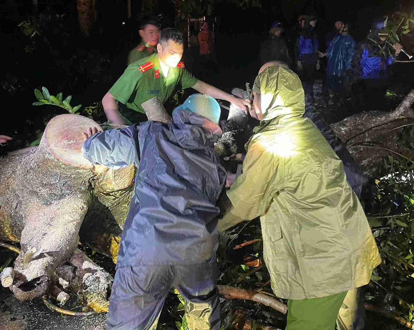 Luc luong chuc nang di doi cay xanh nga do trong dem. Anh: Cong an cung cap