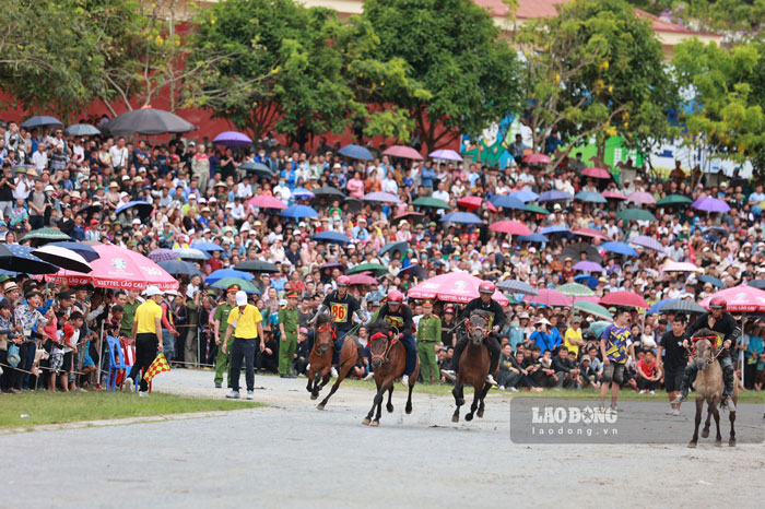 la Le hoi dua ngua Bac Ha - Di san Van hoa phi vat the quoc gia. 