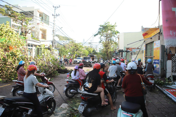 Nguoi dan Quy Nhon xot xa vi hu hai, ngon ngang sau bao. Anh: Hoai Luan