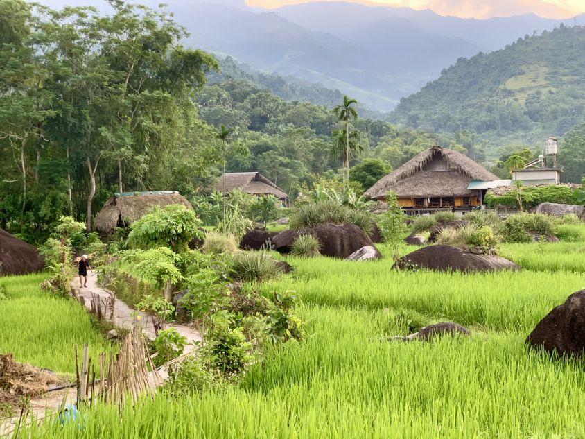 The field with the mysterious giant pure rocks in Ha Thanh village. Photo: Ky Lam