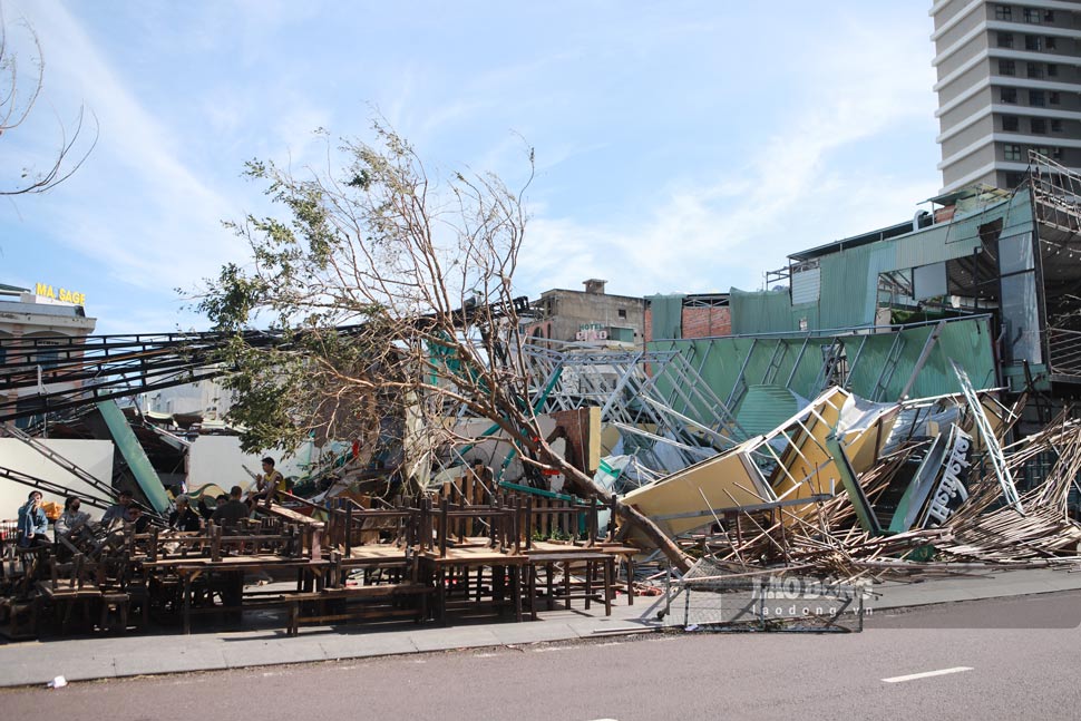 Op de ochtend van 7 november was er een tafereel van verwoesting in alle straten en steegjes in het centrum van de stad Quy Nhon, vooral in de wijken Quy Nhon Nam en Quy Nhon, nadat de stad in de nacht was getroffen door storm Kalmaegi (storm nr. 13).