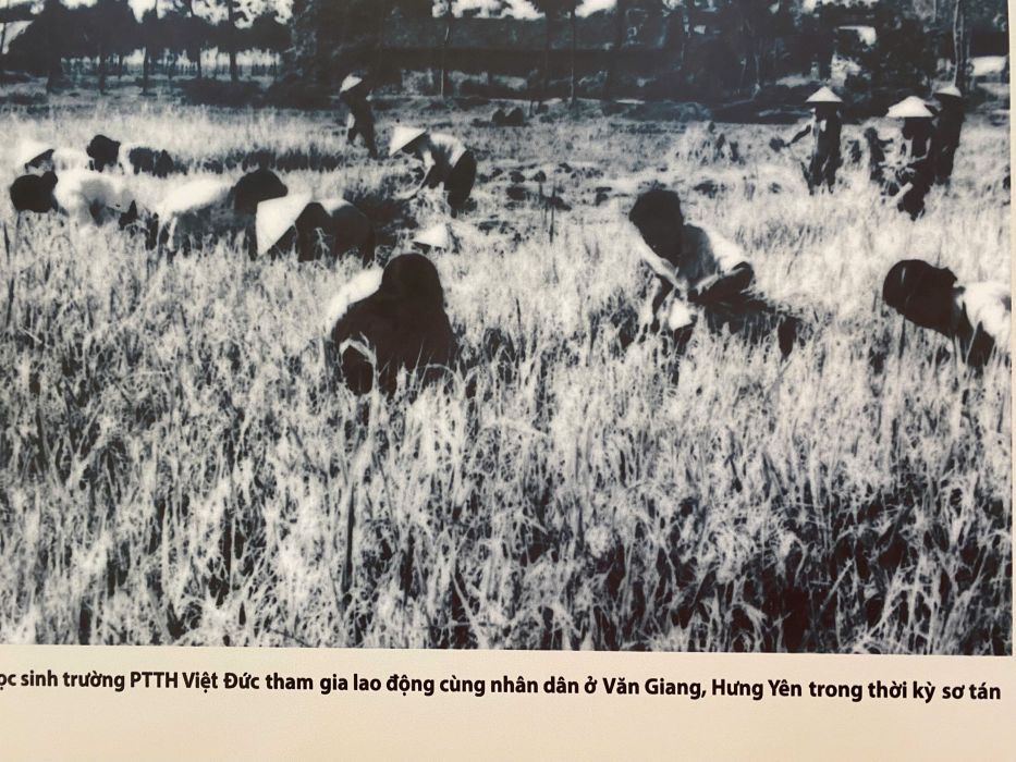 Hoc sinh truong THPT Viet Duc tham gia lao dong san xuat o noi so tan. Anh: Tu lieu