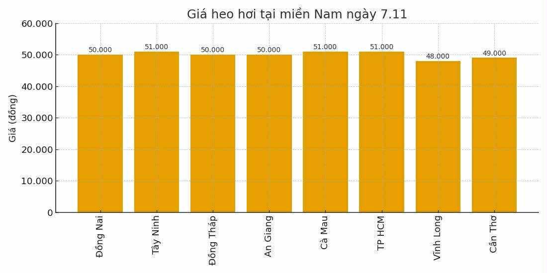 Gia heo hoi ngay 7.11 tai khu vuc mien Nam. Do hoa: Thuy Linh.