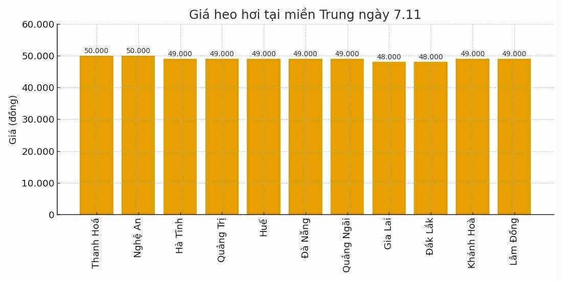 Gia heo hoi ngay 7.11 tai khu vuc mien Trung. Do hoa: Thuy Linh