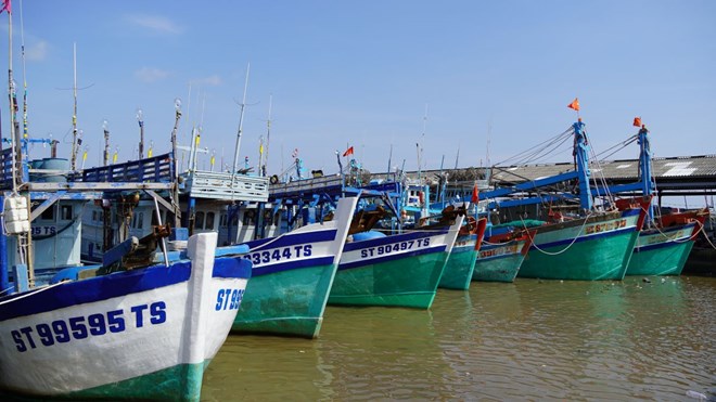 Tàu cá ở Cần Thơ không đăng ký, không giấy phép sẽ bị cưỡng chế