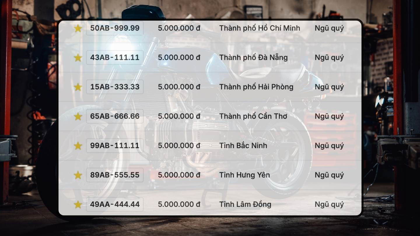 Nhieu bien so xe may dep co trong phien dau gia ngay 10.11-11.11. Do hoa: Hao Thien