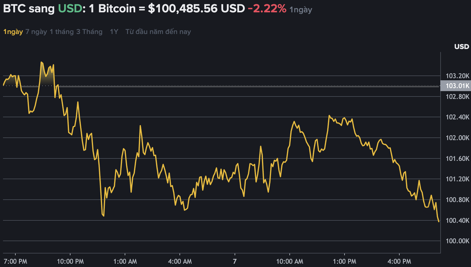 Du lieu tren Binance - san giao dich tien ma hoa lon nhat the gioi cho thay Bitcoin truot gia, xuong moc 102.000 USD. Nguon: Binance.com