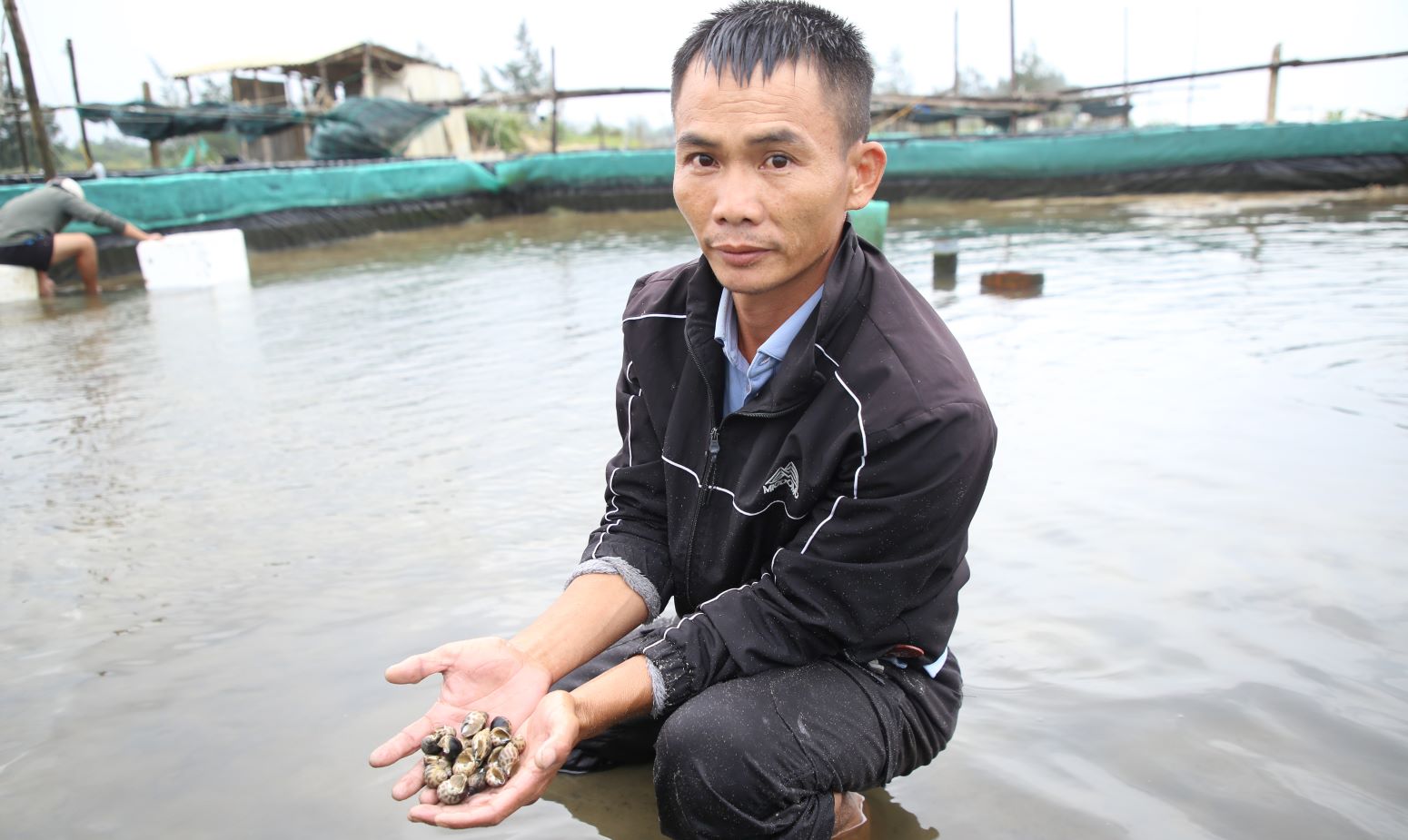 Anh Phan Thanh Tương phải di dời ốc hương chưa đến lúc thu hoạch sang địa điểm khác vì sạt lở cận kề. Ảnh: Hưng Thơ