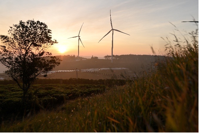 Nhung tua-bin gio khong lo vuon giua nen troi o doi che Cau Dat. Anh: Hoang Huy.