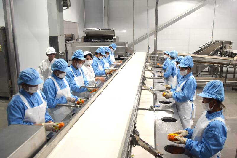Cong nhan Nha may che bien thuc pham VFI Son La trong ca san xuat. Anh: Truong Son