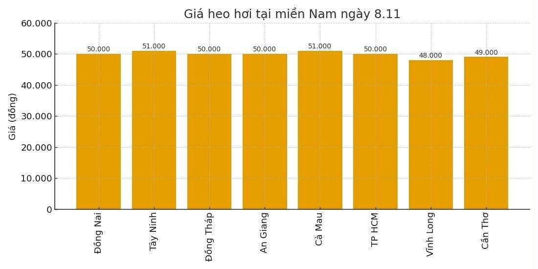 Gia heo hoi hom nay 8.11 tai mien Nam. Do hoa: Thuy Linh