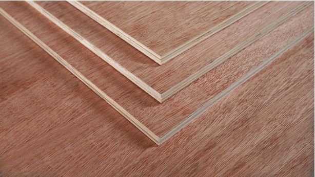 Cong ty Long Dat luon tim toi nghien cuu de da dang hoa san pham va dap ung tieu chuan cua nhung thi truong kho tinh nhat. Anh: Long Dat 