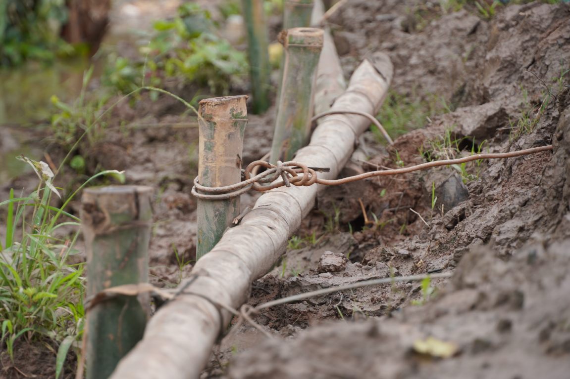 Mot so vi tri da duoc nguoi dan gia co de bao o Con Son. Anh: Ta Quang
