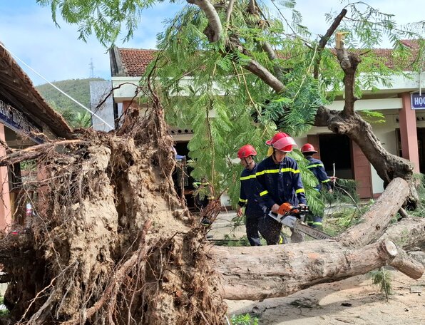 Cay xanh trong khuon vien truong hoc duoc xu ly kip thoi sau anh huong mua bao. Anh: Cong an cung cap
