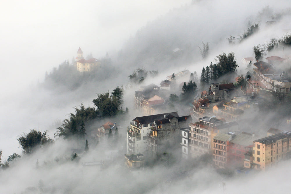 Mot goc phuong Sa Pa, tinh Lao Cai. Anh: Bao Nguyen