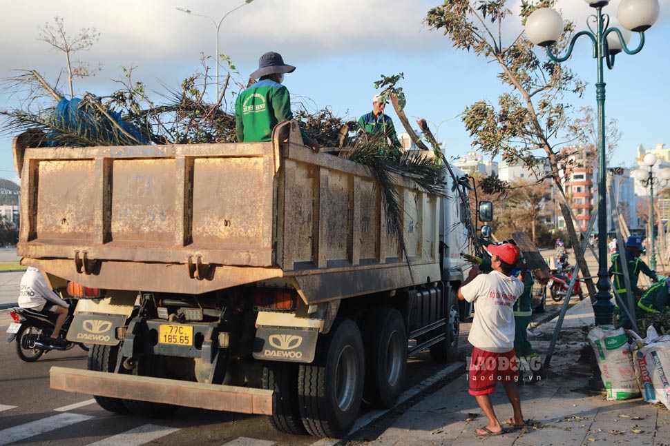Nhan vien moi truong ve