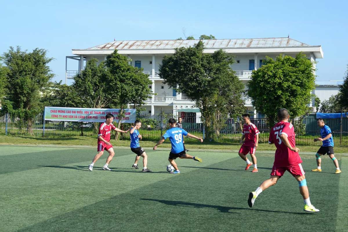 大会での技。写真: Cam Pha Port and Logistics Company