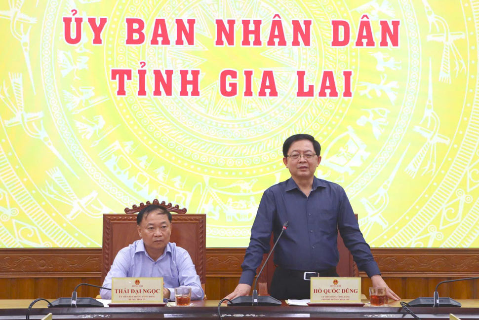 Pho Thu tuong Chinh phu Ho Quoc Dung phat bieu tai buoi lam viec. Anh: Kim Loan