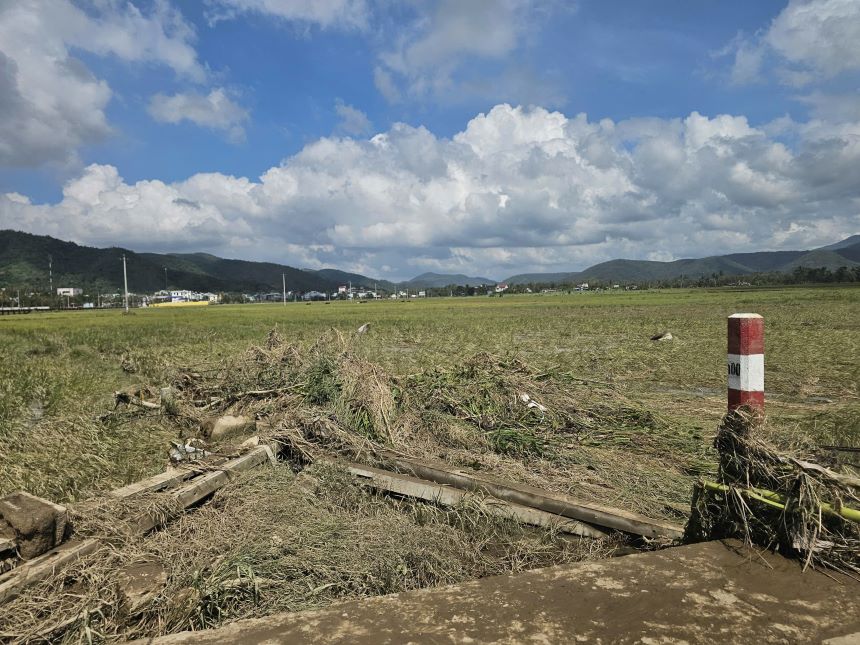 Dong ruong tan hoang vi bao lu. Anh: Thanh Quynh