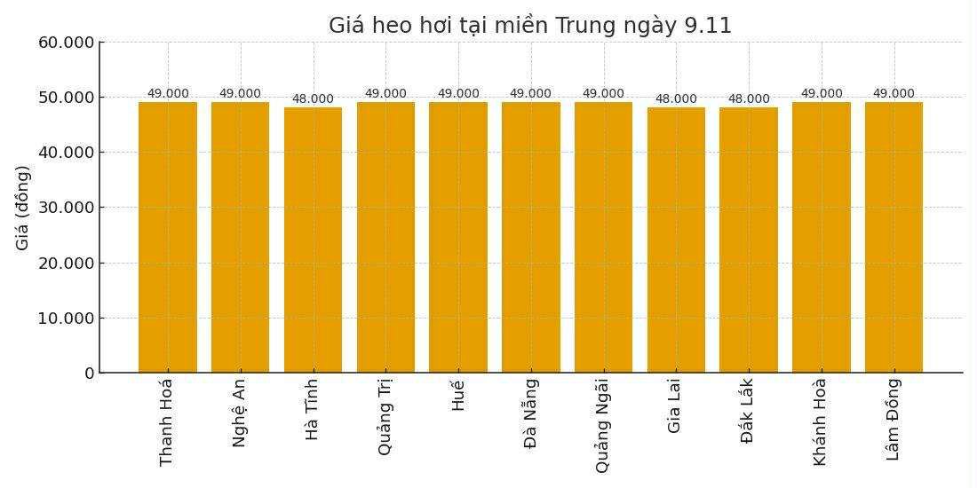 Gia heo hoi ngay 9.11 tai khu vuc mien Trung - Tay Nguyen. Do hoa: Thuy Linh