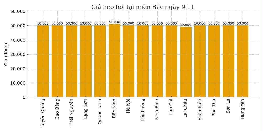 Gia heo hoi ngay 9.11 tai khu vuc mien Bac. Do hoa: Thuy Linh