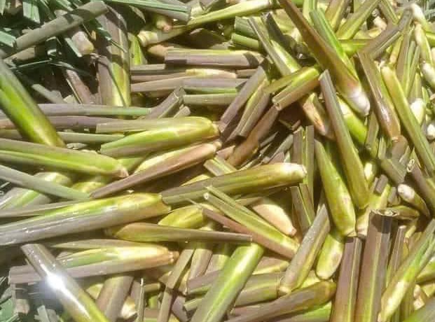 Few people know that niang fruit can help detoxify the liver. Photo: Kieu Vu