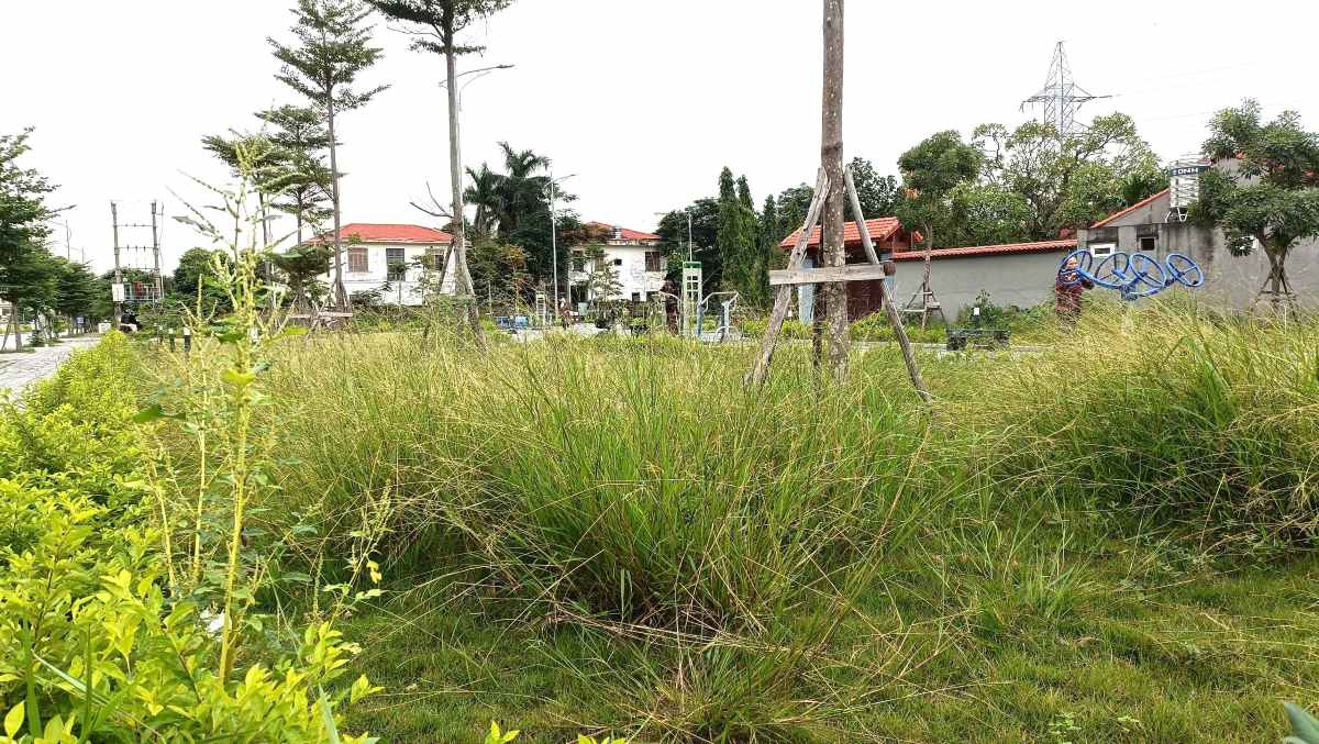 Co moc um tum phia giap duong Le Quang Dao, dang sau mieu An Da. Ảnh: Bang Tam