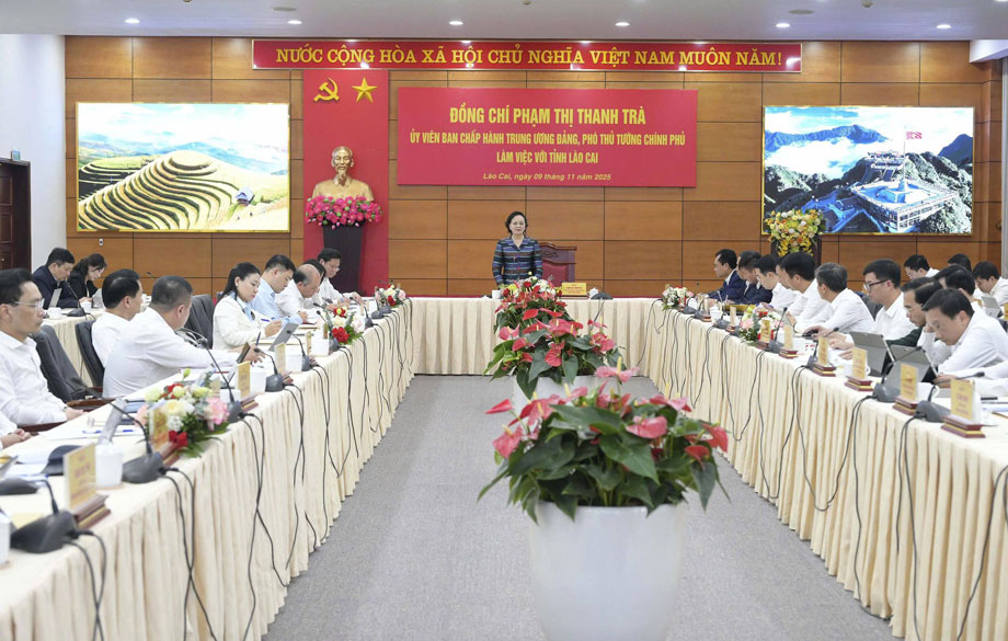 Quang canh buoi lam viec