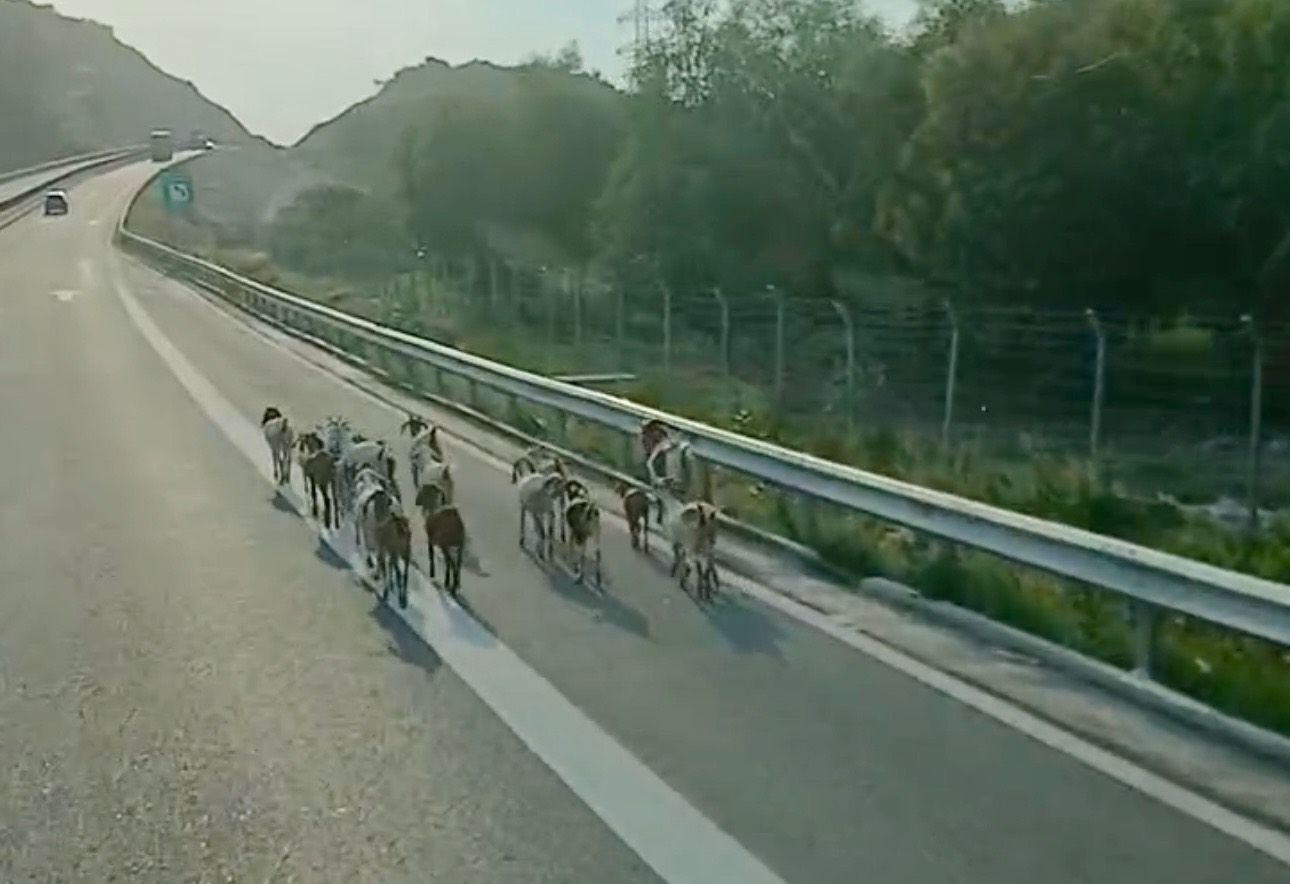 Dan de di bo tren cao toc Vinh Hao - Phan Thiet. Anh: Ban doc cung cap