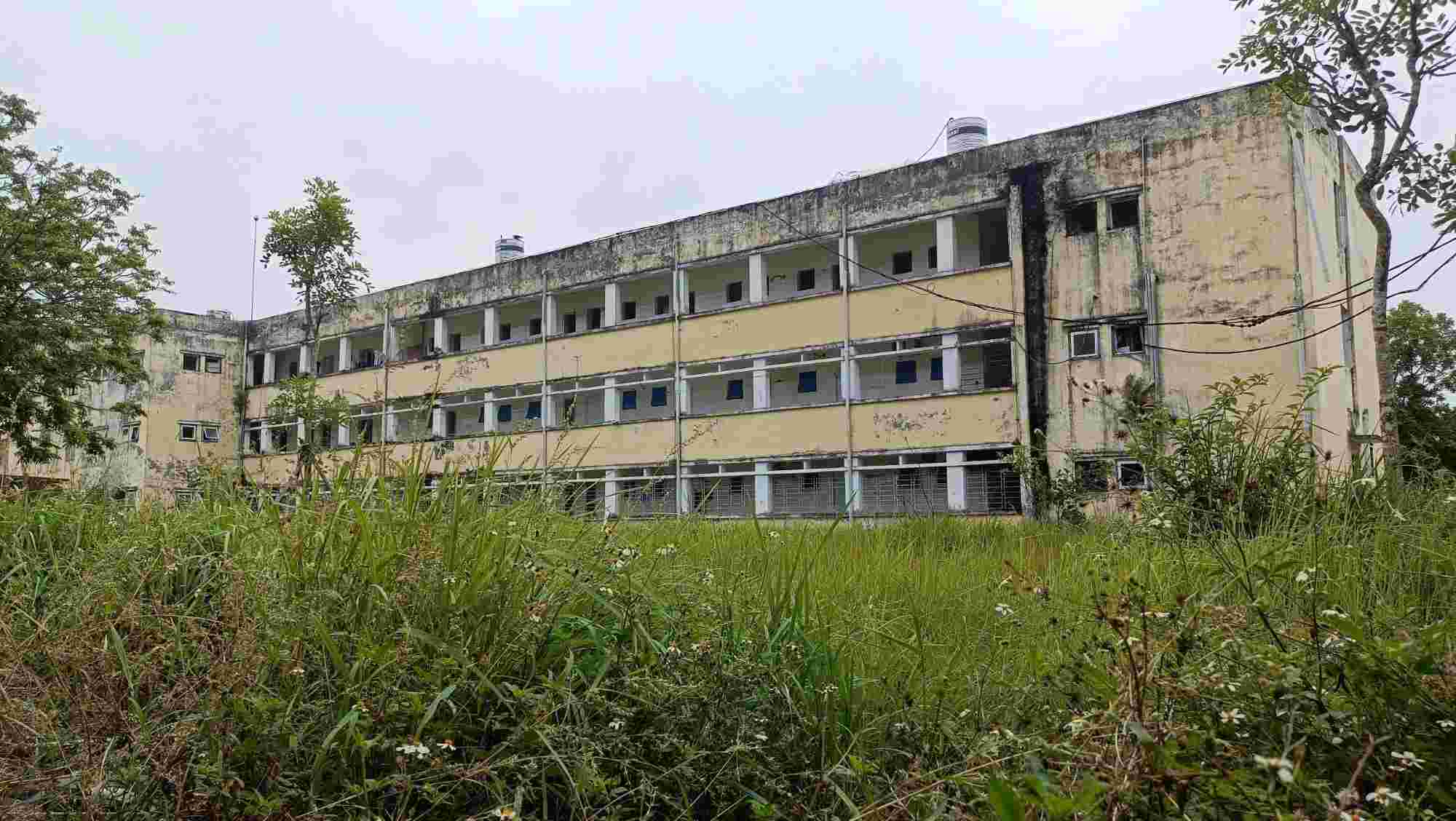 Khung canh tieu dieu phia sau khu nha dieu tri benh vien Phoi Hai Phong. Ảnh: Mai Dung