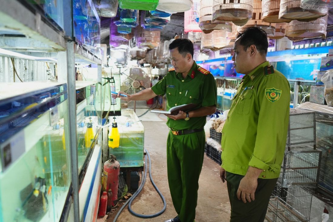 Luc luong lien nganh TP Can Tho ra quan kiem tra ve dong vat hoang da va nguon loi thuy san. Anh: Cong an TP Can Tho