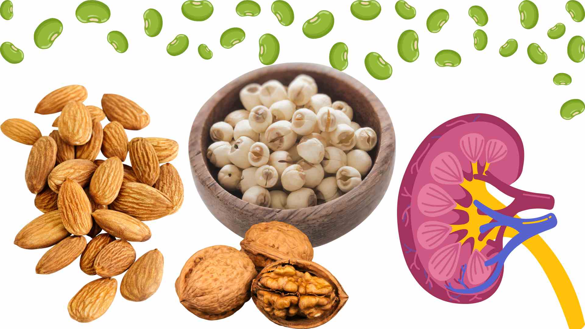 Some dishes that are good for the kidneys. Graphics: Ha May