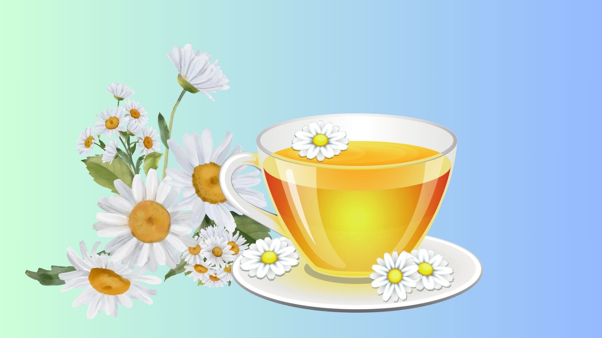 Chamomile tea helps people with diabetes improve insulin sensitivity, helping to maintain stable blood sugar overnight. Photo: Minh Hoang