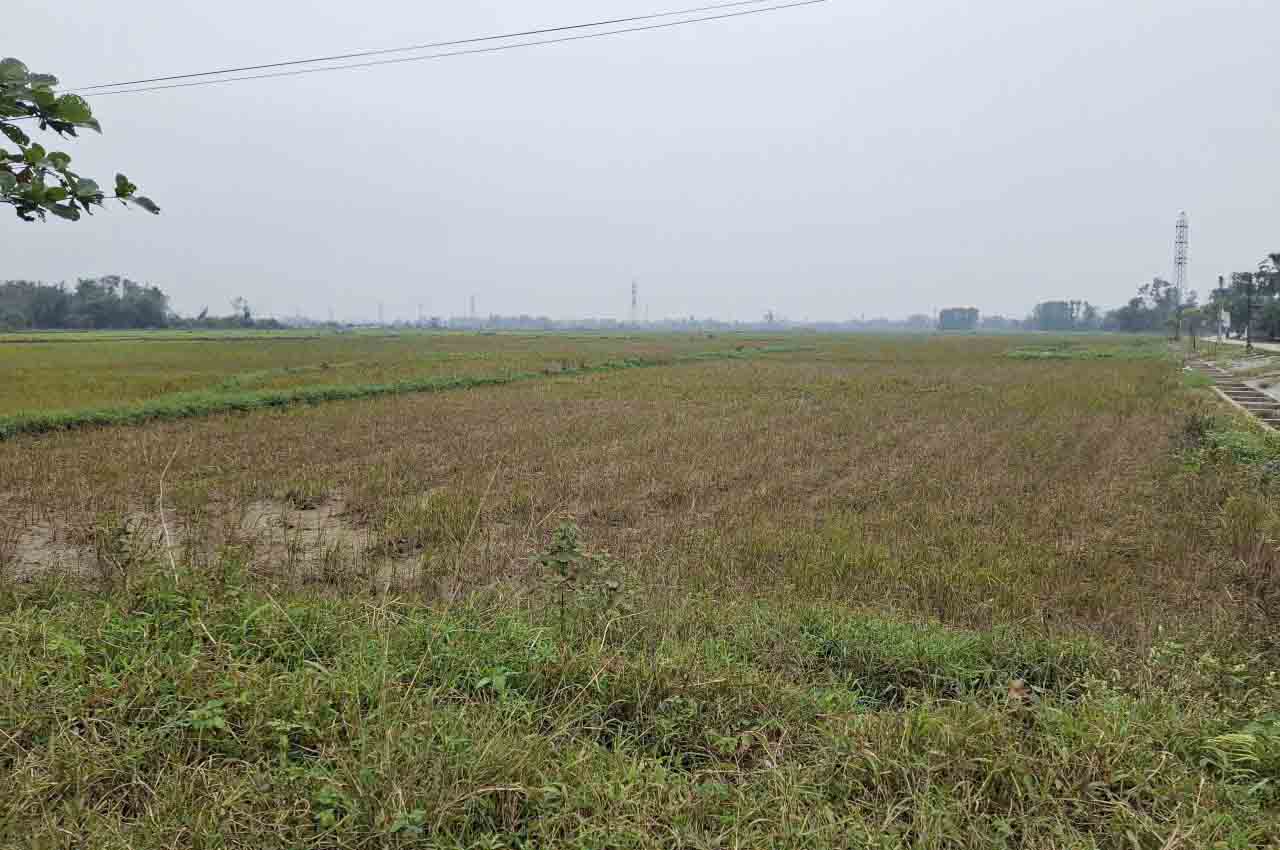 Do luc luong chuc nang tang cuong kiem tra, ngan chan nen nan bay chim troi da giam, canh dong it xuat hien nan bay chim. Anh: Tran Tuan.