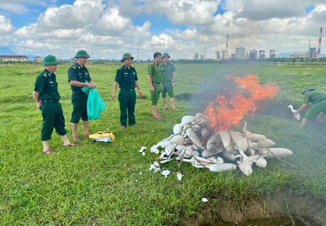 Ha Tinh省の機能部隊が空飛ぶ鳥の罠道具を廃棄。写真:Hoang Anh.