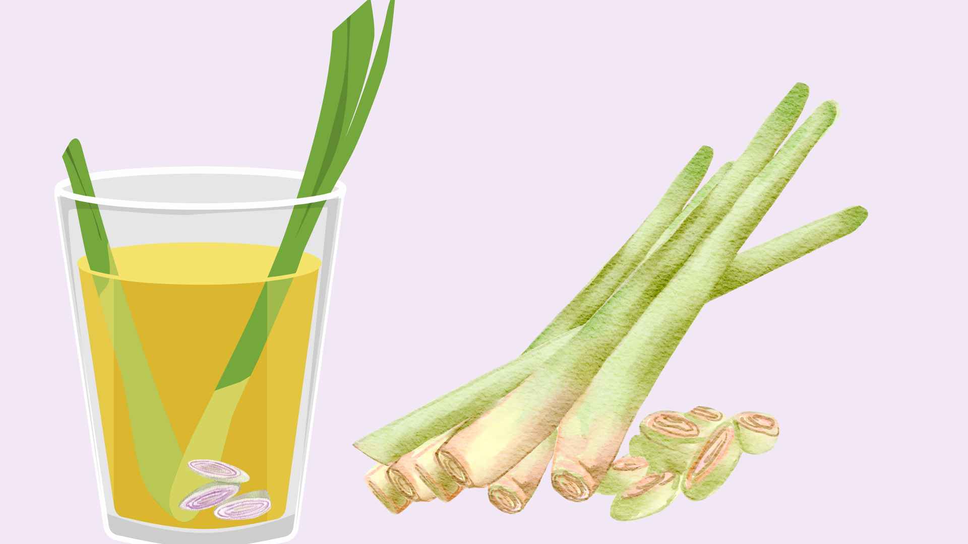 Cheap tubers help support liver detoxification that many people ignore. Graphic photo: Hoang Loc.