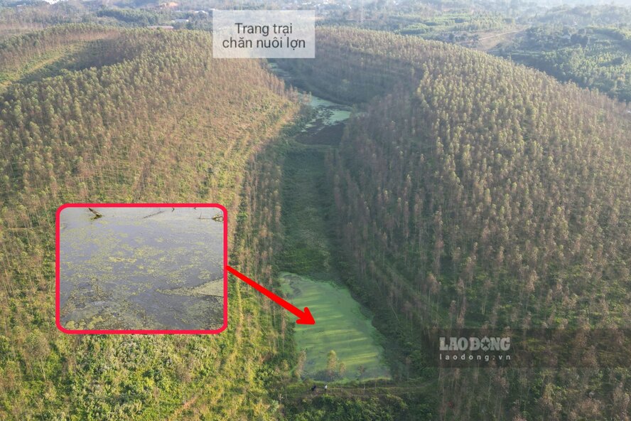 Nhung ao, ruong giua hai qua doi trong bach dan nay da bi o nhiem boi nuoc thai. Anh: To Cong.