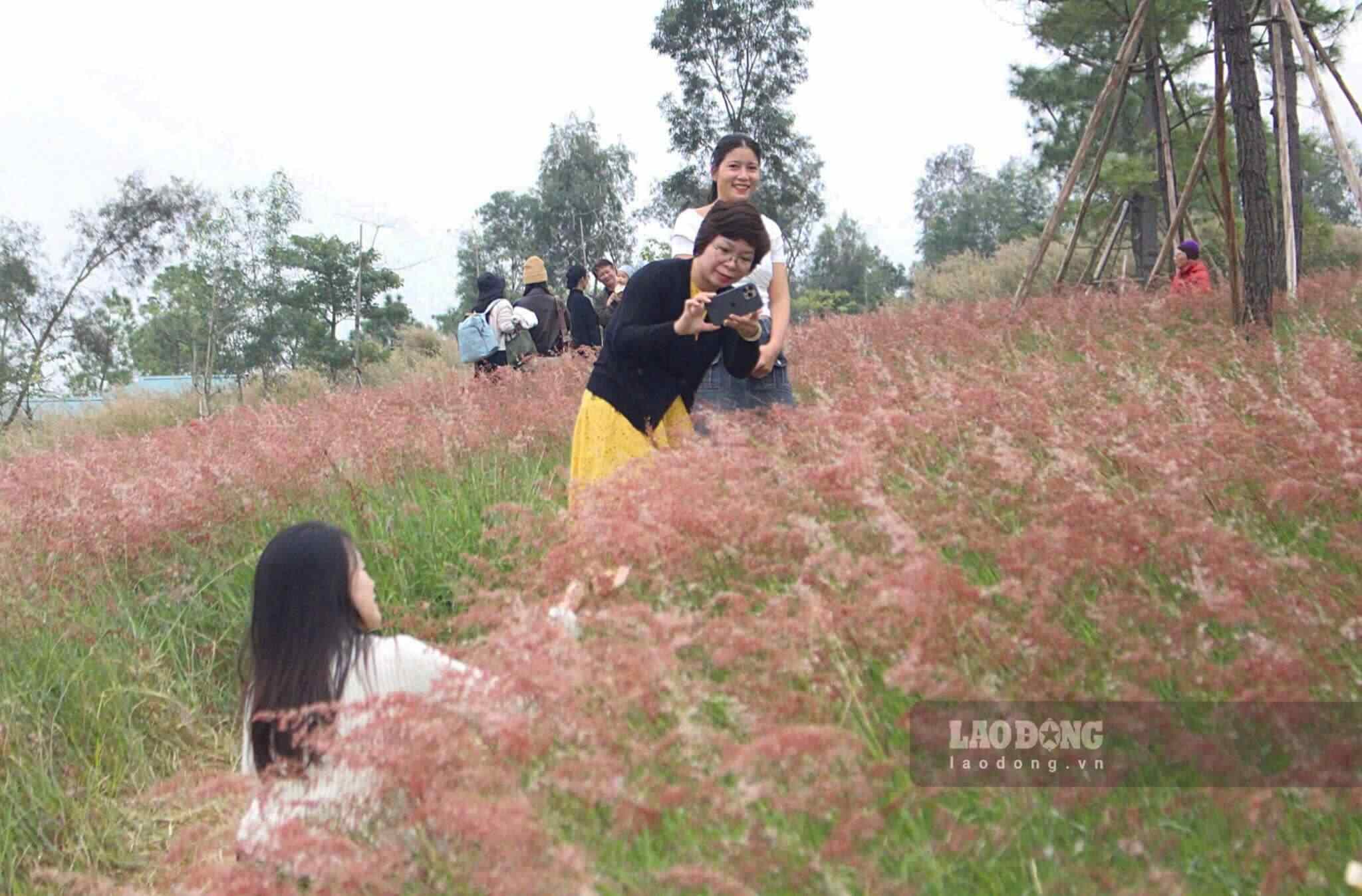 Ao passar pelo Lago Con Son, com sua vasta superfície de água cintilante, e depois contornando a estrada íngreme ladeada por lichieiras cobertas de folhas vermelhas, os visitantes podem admirar as colinas gramadas de suave inclinação, com tufos de grama rosa balançando ao vento leste, destacando-se na vasta e majestosa paisagem.