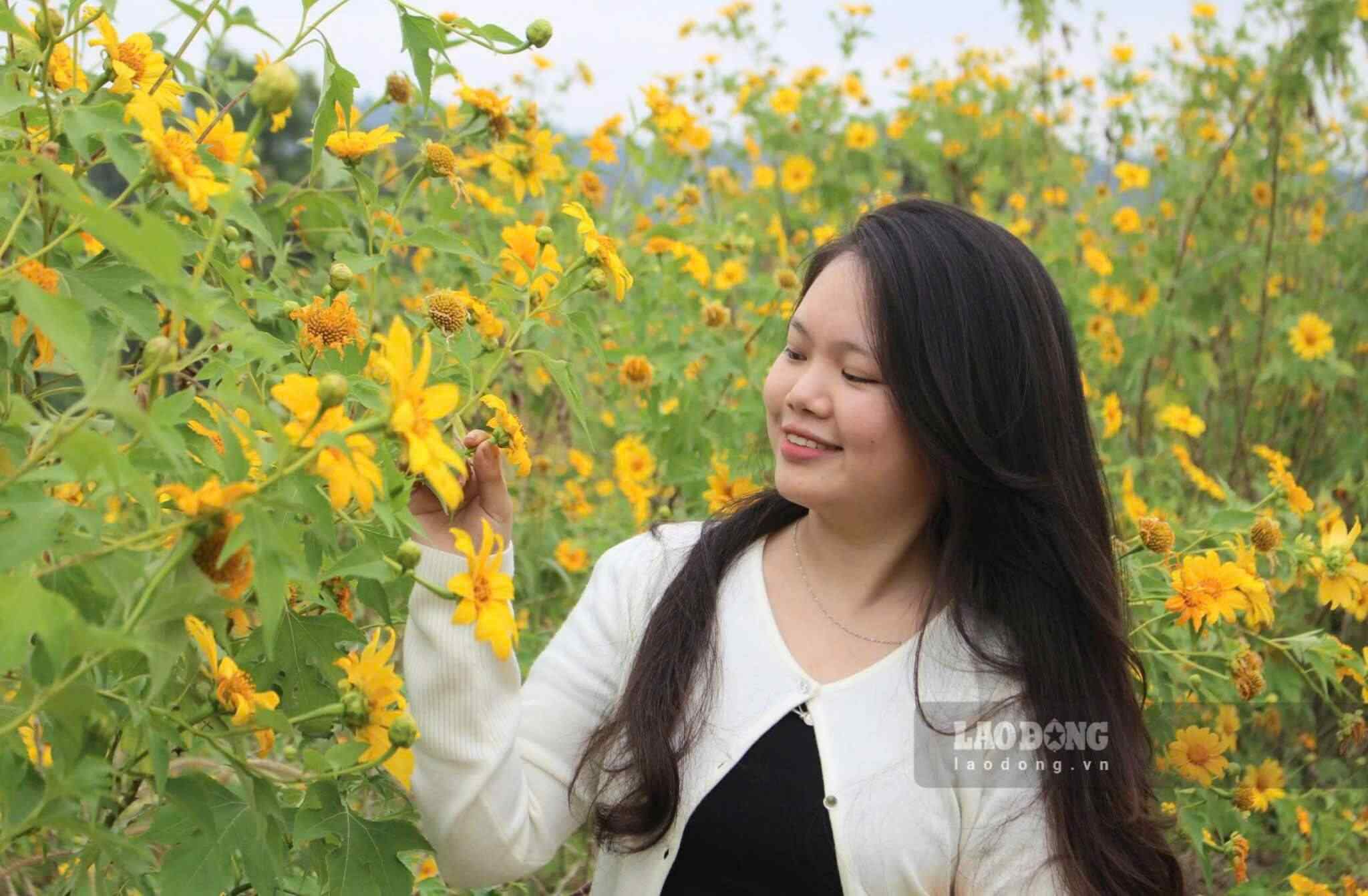 Além da grama rosa, a área da colina também possui fileiras de girassóis silvestres, que estão florescendo em um amarelo brilhante, perfeitos para fotos dos turistas. Girassóis silvestres e grama rosa são duas plantas muito procuradas por turistas para fotografias no inverno.