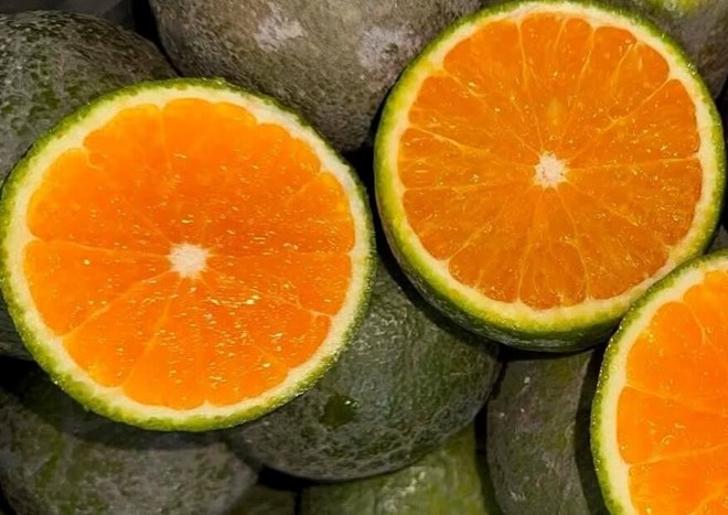 From colds, inflammation to cardiovascular disease, vitamin C helps reduce cell damage and improve overall health if supplemented properly. Photo: Kieu Vu