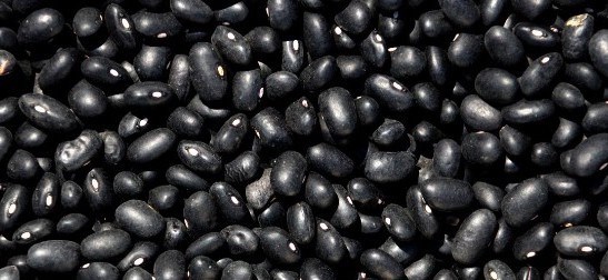 하루에 콩 두 컵을 먹는 것은 좋을 수 있지만 장 불편감을 유발하기 쉽습니다. 사진: Thuy Duong