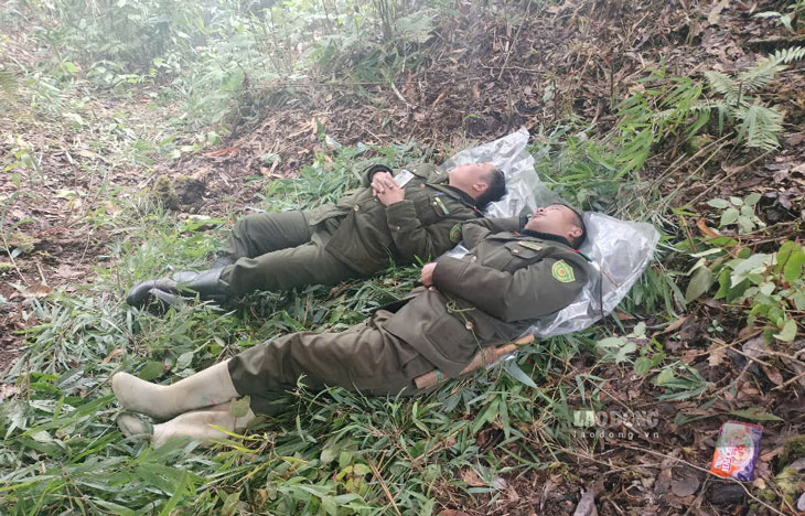 Nhung nguoi “canh” rung, phai an com nam, ngu trong rung ngay dip Tet. Anh: Bao Nguyen