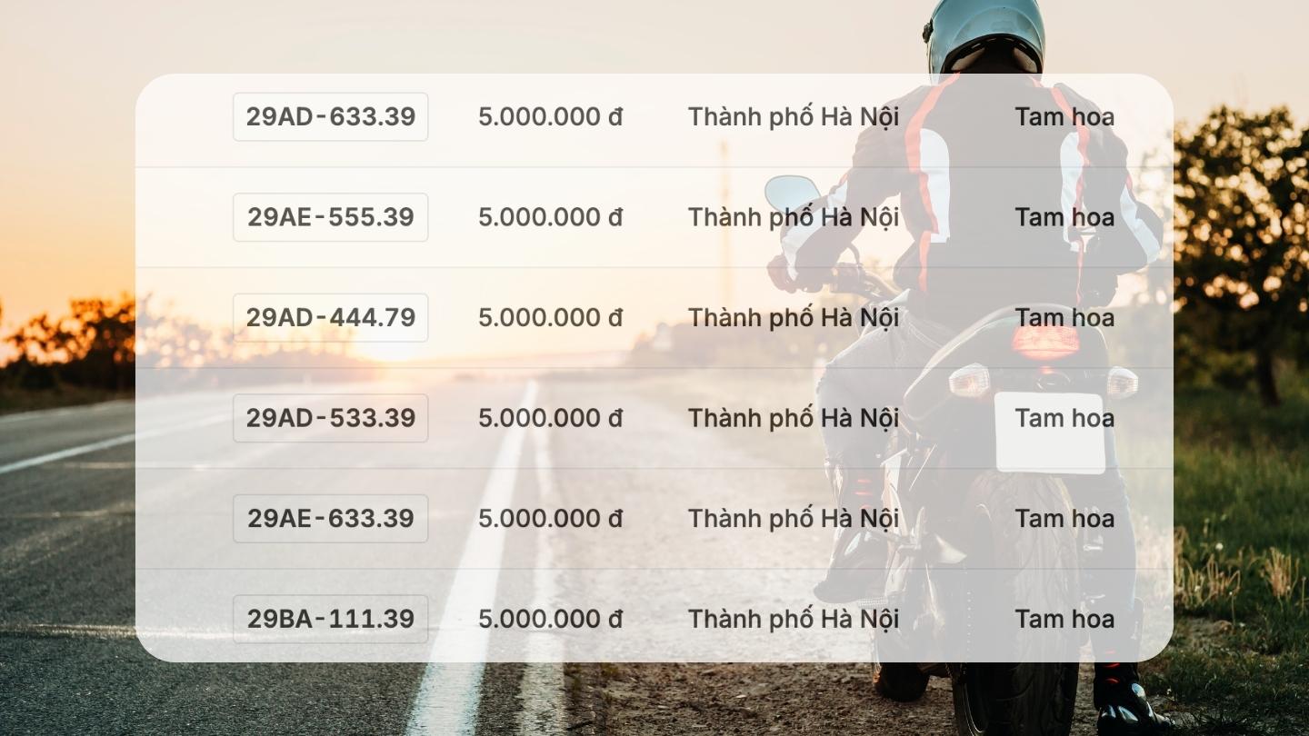 Bien so xe may co trong phien dau gia ngay 10.12. Do hoa: Hao Thien