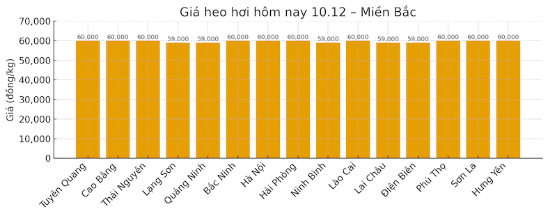 Gia heo hoi hom nay 10.12 tai khu vuc mien Bac. Do hoa: Thuy Linh