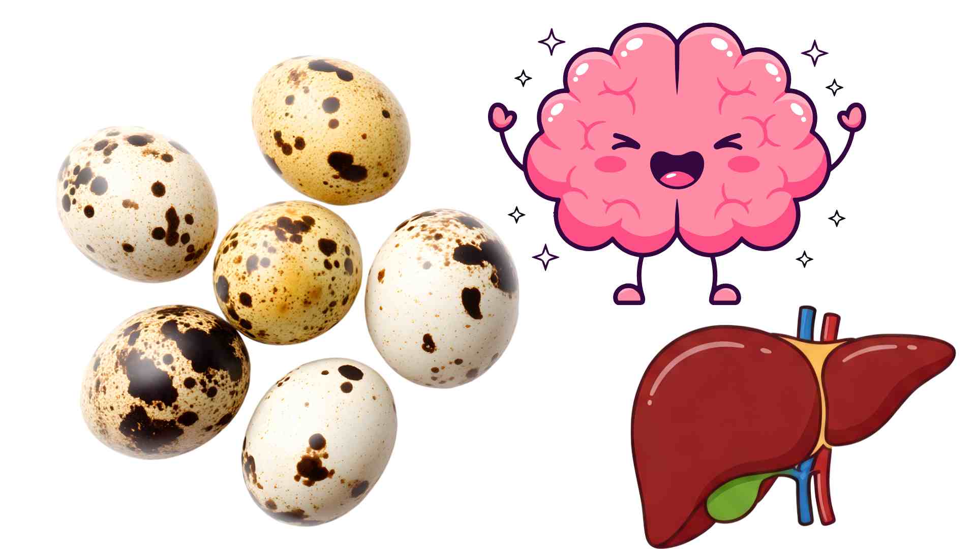 disctose is good for the brain and liver. Graphics: Ha May