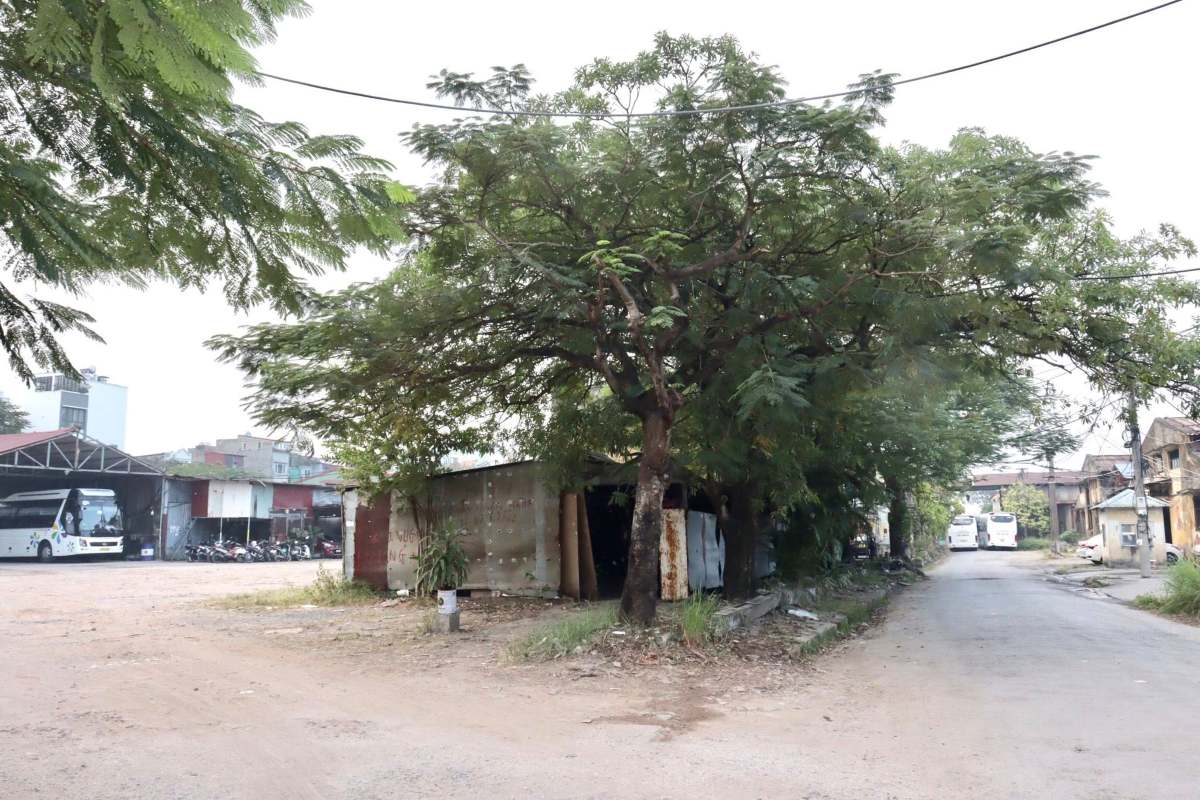 Khu vuc tien hanh cuong che kiem dem bat buoc. Ảnh: Cong TTDT Hai Phong