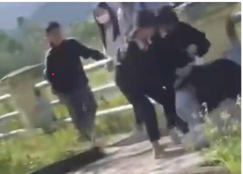 The image of a group of female students beating N up caused the victim to suffer psychological and health effects. Photo: Cut from clip